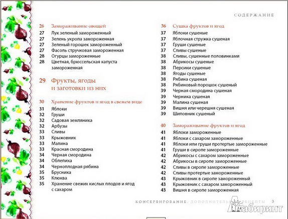 Иллюстрация 4 из 23 для Консервирование (+CD) - Ирина Ройтенберг | Лабиринт - книги. Источник: Willy-Nilly