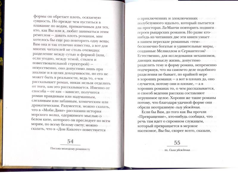 Иллюстрация 3 из 6 для Письма молодому романисту - Льоса Варгас | Лабиринт - книги. Источник: Бетельгейзе