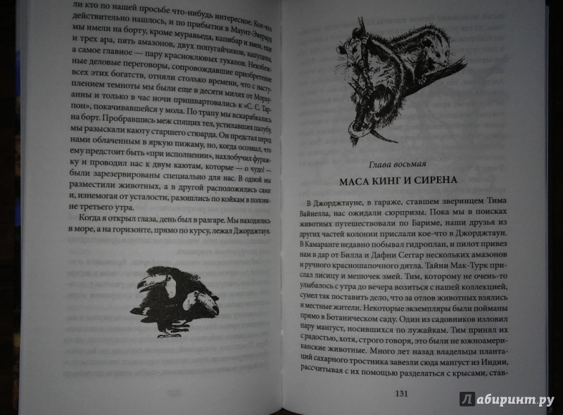 Иллюстрация 16 из 32 для В поисках дракона - Дэвид Аттенборо | Лабиринт - книги. Источник: WhiteOwl