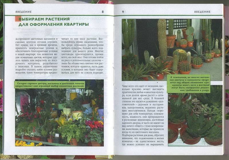 Иллюстрация 2 из 7 для Комнатные растения. Карманный справочник | Лабиринт - книги. Источник: Machaon