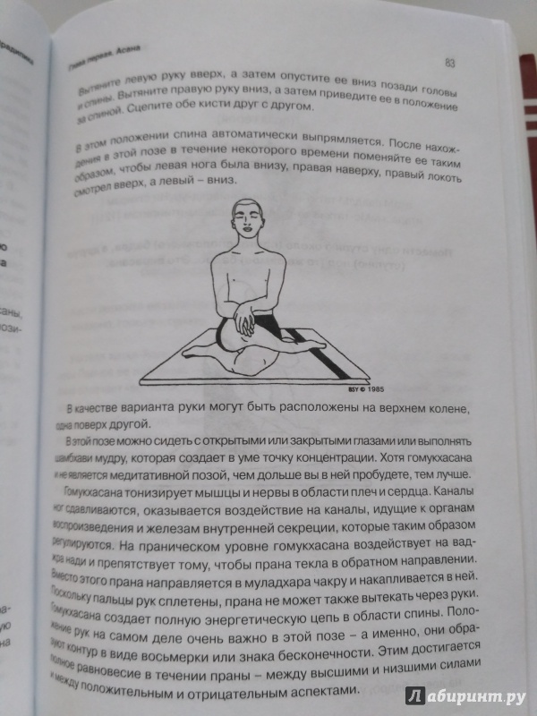 Иллюстрация 12 из 31 для Хатха-йога прадипика. Объяснение хатха-йоги - Муктибодхананда Свами | Лабиринт - книги. Источник: ragnhild_ulg