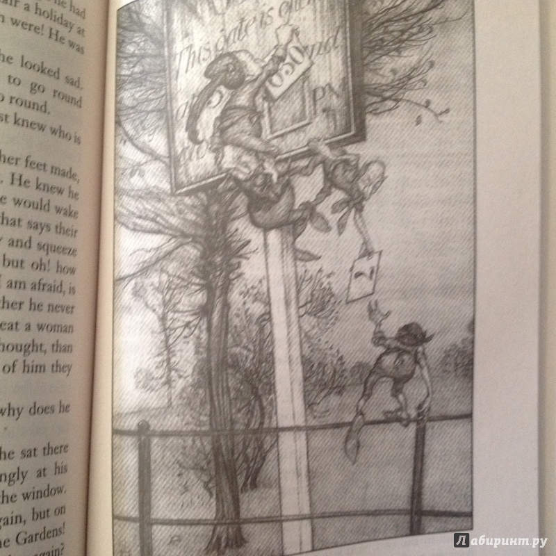 Иллюстрация 16 из 47 для Peter Pan - James Barrie | Лабиринт - книги. Источник: Sage Tea