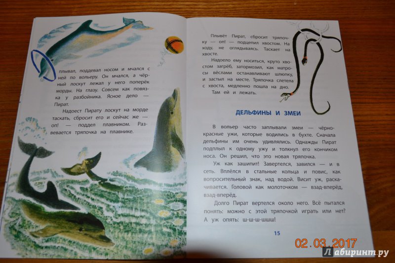 Иллюстрация 21 из 32 для Дельфиний остров - Святослав Сахарнов | Лабиринт - книги. Источник: Белоус Марина