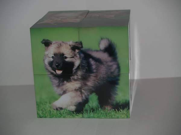 Иллюстрация 6 из 14 для Магнитные кубики-пазлы "Домашние животные" (8 кубиков, 12 пазлов) (14032) | Лабиринт - игрушки. Источник: Cовушка