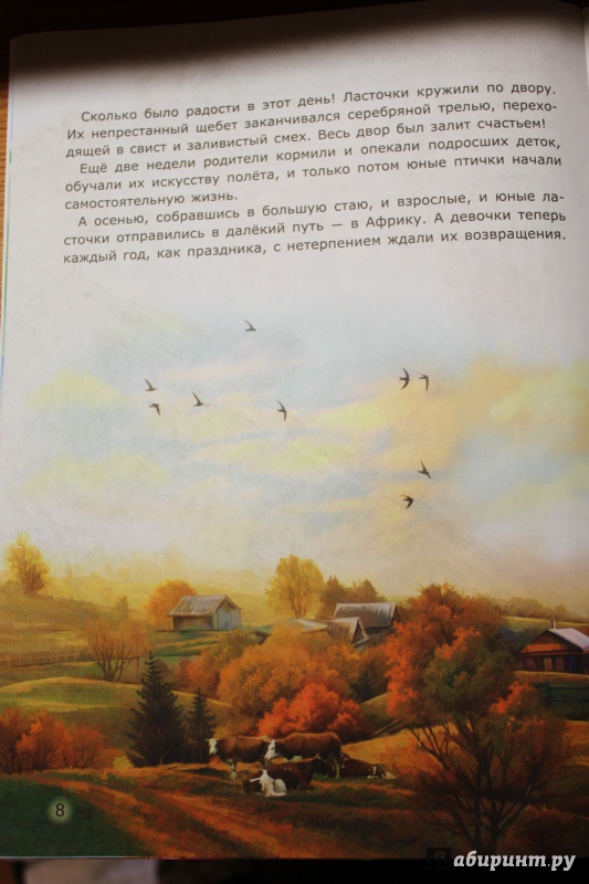 Иллюстрация 18 из 19 для Семья ласточек - Лариса Тарасенко | Лабиринт - книги. Источник: Татьяна Корочкина (Юсупова)