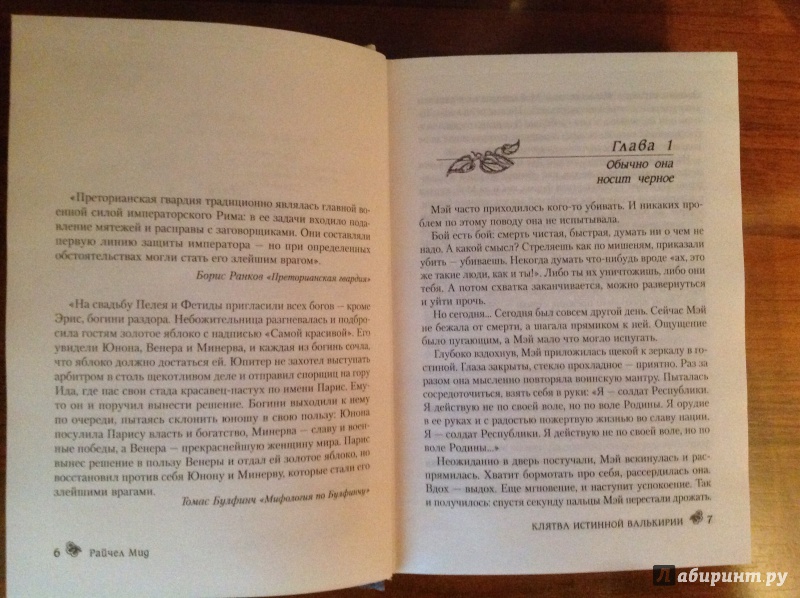 Иллюстрация 19 из 23 для Клятва истинной валькирии - Райчел Мид | Лабиринт - книги. Источник: Alisha05