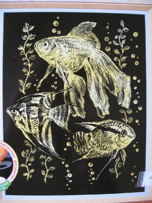 Иллюстрация 8 из 12 для Гравюра: Жизнь животных. Рыбки | Лабиринт - игрушки. Источник: Юта