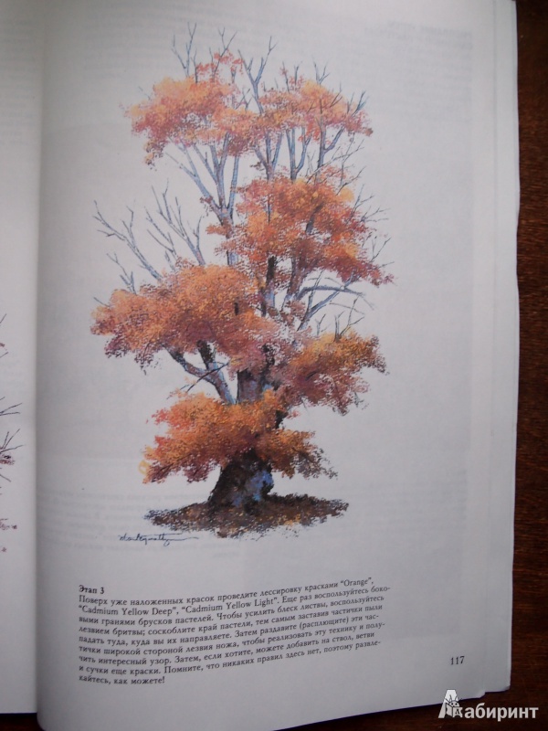 Иллюстрация 5 из 61 для Деревья - Стенли Молцмен | Лабиринт - книги. Источник: Kary