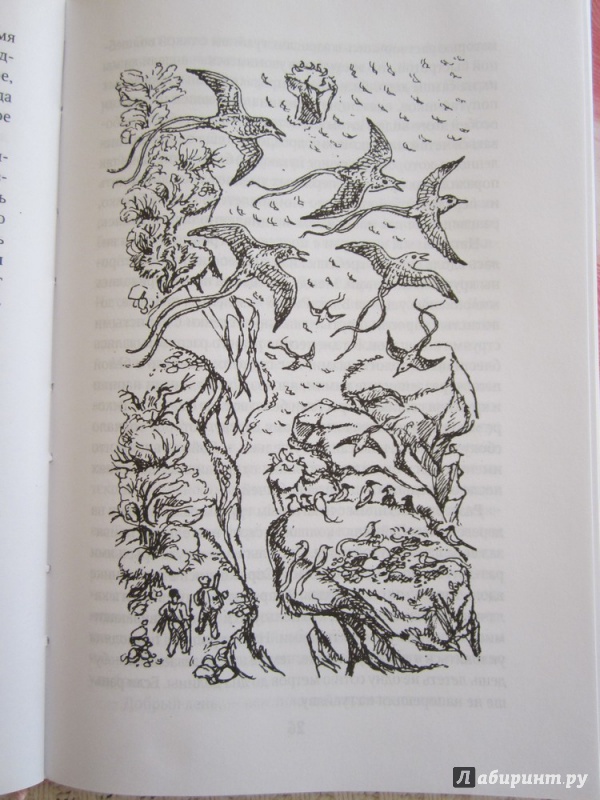 Иллюстрация 12 из 49 для Золотые крыланы и розовые голуби - Джеральд Даррелл | Лабиринт - книги. Источник: ЮлияО