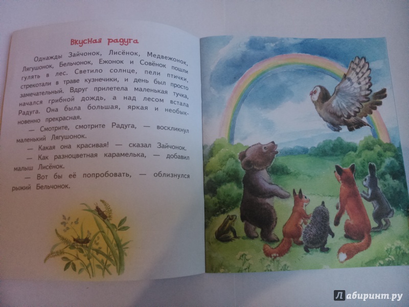 Иллюстрация 1 из 30 для Вкусная радуга - Елена Ермолова | Лабиринт - книги. Источник: SoleNn
