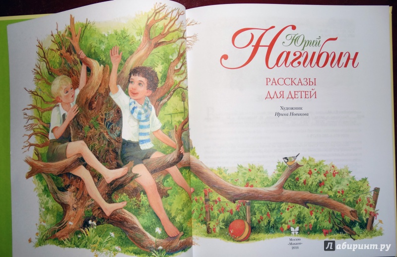 Иллюстрация 38 из 38 для Рассказы для детей - Юрий Нагибин | Лабиринт - книги. Источник: nata_romina