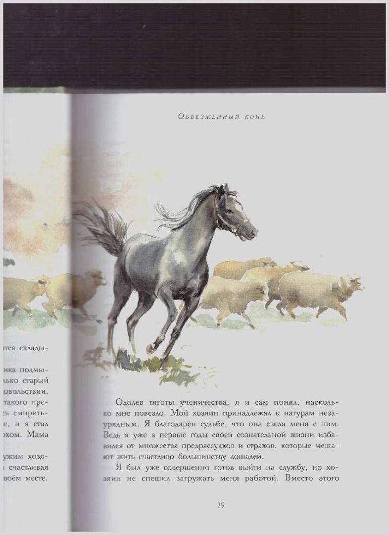 Иллюстрация 62 из 89 для Черный красавчик - Анна Сьюэлл | Лабиринт - книги. Источник: LanaEr