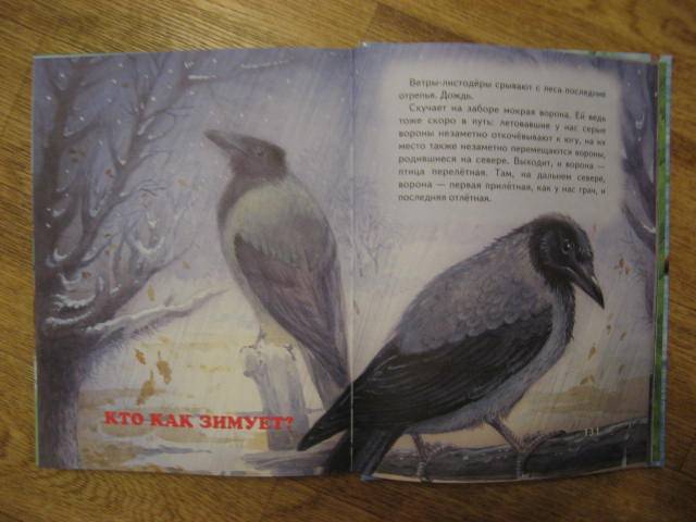 Иллюстрация 11 из 27 для Сказки о животных - Виталий Бианки | Лабиринт - книги. Источник: libe