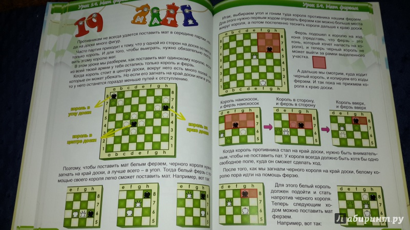 Иллюстрация 15 из 21 для Шахматы. Просто и весело - Должикова, Галинский | Лабиринт - книги. Источник: Маруся (@smelayatrysixa)