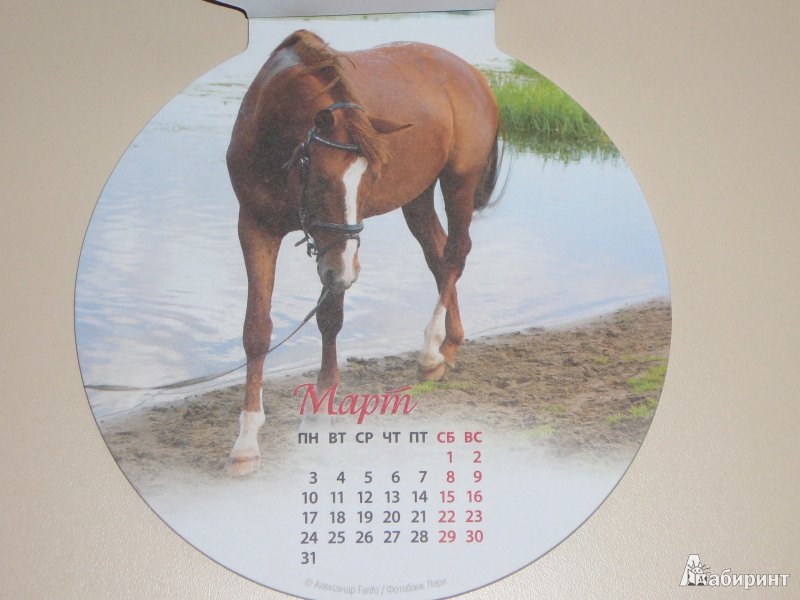 Иллюстрация 6 из 19 для Календарь на магните на 2014 год "Год лошади" | Лабиринт - сувениры. Источник: Кирюшина  Татьяна Ивановна