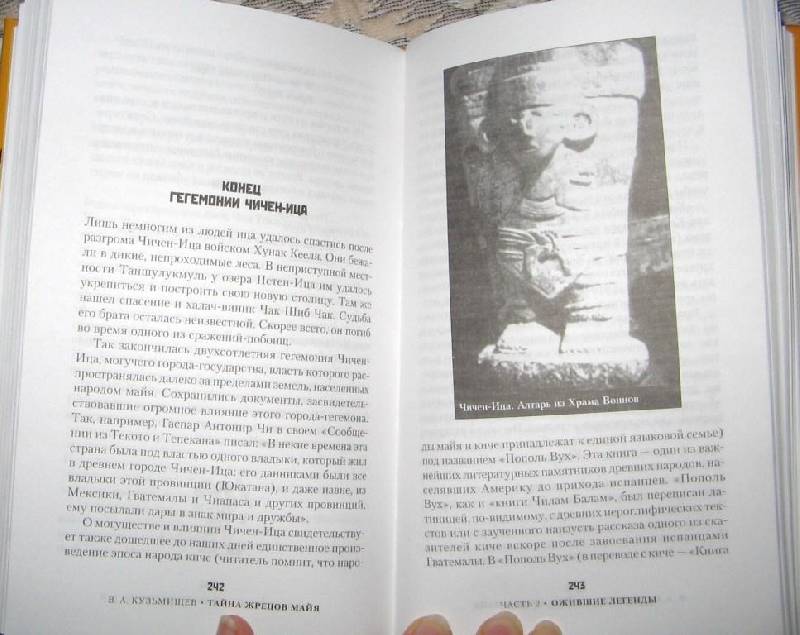 Иллюстрация 1 из 3 для Тайна жрецов майя - Владимир Кузьмищев | Лабиринт - книги. Источник: Читательница