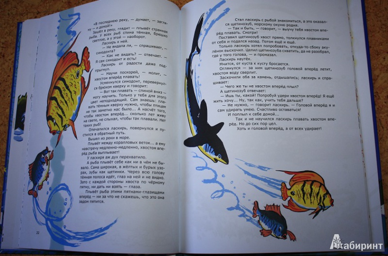 Иллюстрация 40 из 51 для Морские сказки - Святослав Сахарнов | Лабиринт - книги. Источник: КНИЖНОЕ ДЕТСТВО