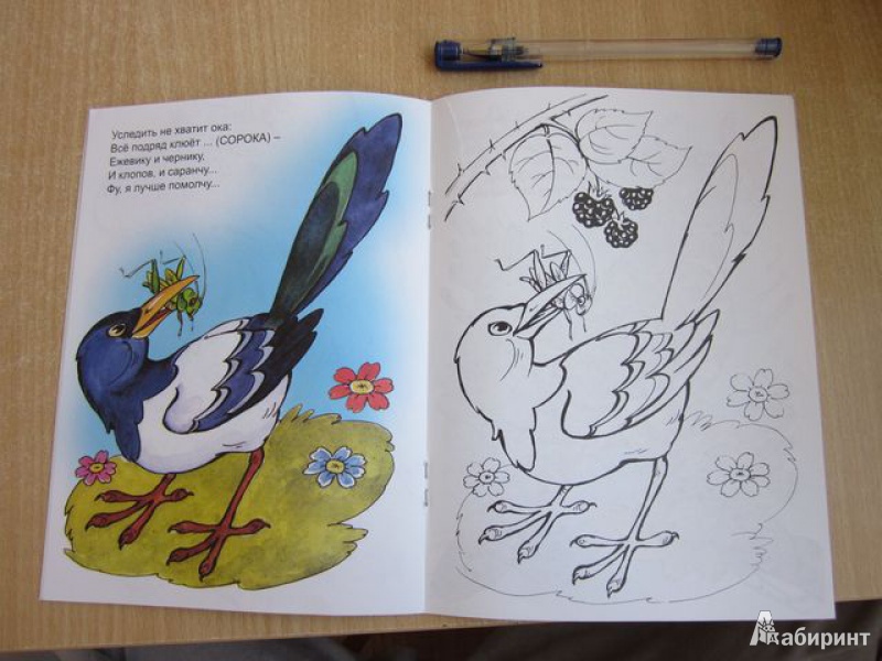 Иллюстрация 6 из 20 для Птичий обед - Юрий Чичев | Лабиринт - книги. Источник: Мeдвeдицa