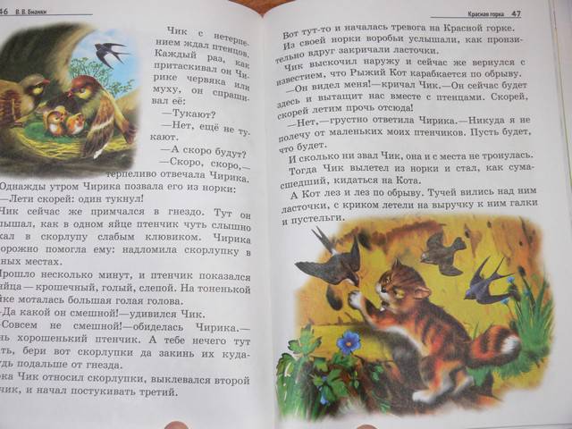 Иллюстрация 12 из 19 для Лесные домишки - Виталий Бианки | Лабиринт - книги. Источник: Irbis