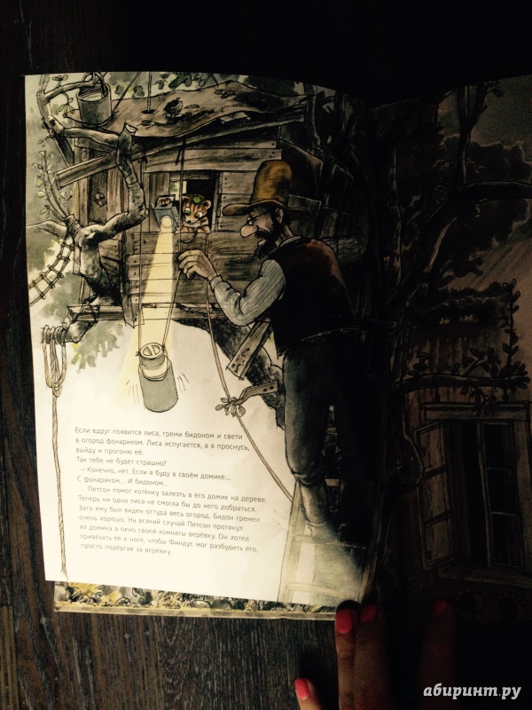 Иллюстрация 45 из 64 для Переполох в огороде - Свен Нурдквист | Лабиринт - книги. Источник: Харченко  Наталья