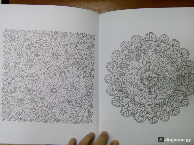 Иллюстрация 16 из 30 для Дзен-дудлинг. Завораживающие цветы | Лабиринт - книги. Источник: Ульянова Мария
