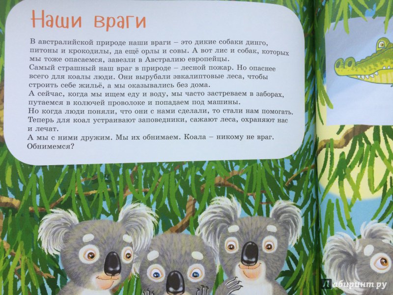 Иллюстрация 27 из 35 для Я коала - Ирина Лукьянова | Лабиринт - книги. Источник: ИрМур
