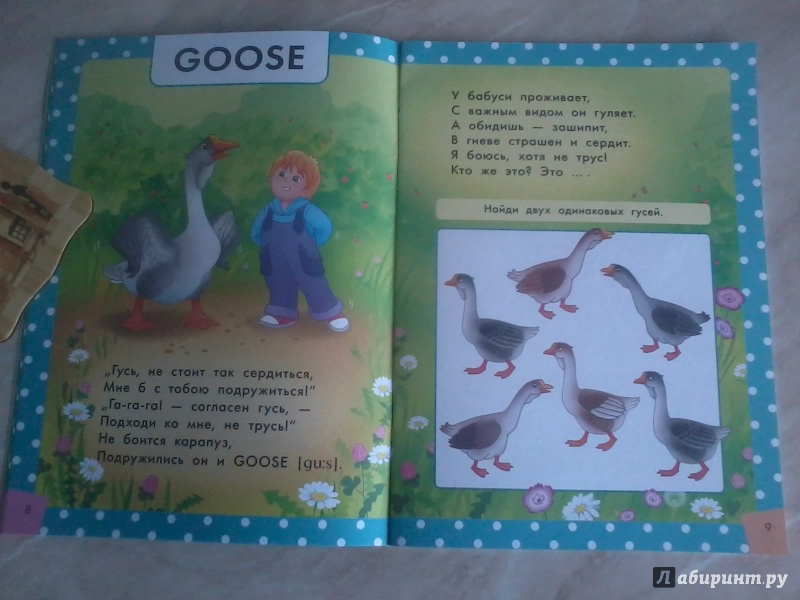Иллюстрация 7 из 26 для Стихи и загадки о птицах. Пособие для детей 4-6 лет. ФГОС ДО - Юлия Курбанова | Лабиринт - книги. Источник: *  Читатель