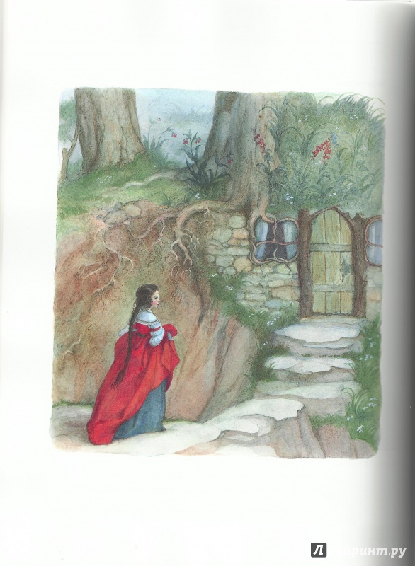 Иллюстрация 21 из 24 для Волшебные сказки о принцах и принцессах - Андерсен, Гримм | Лабиринт - книги. Источник: Горбунова  Ольга