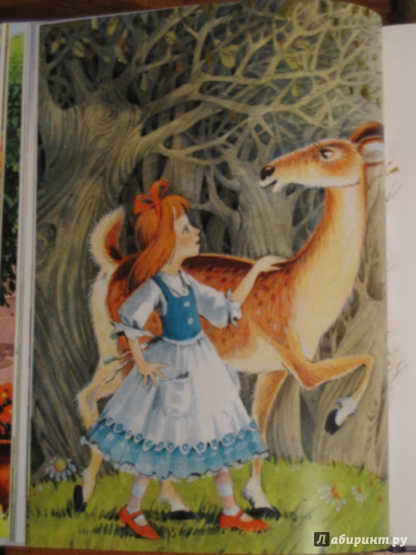 Иллюстрация 11 из 52 для Алиса в Зазеркалье - Льюис Кэрролл | Лабиринт - книги. Источник: Суботка  Татьяна