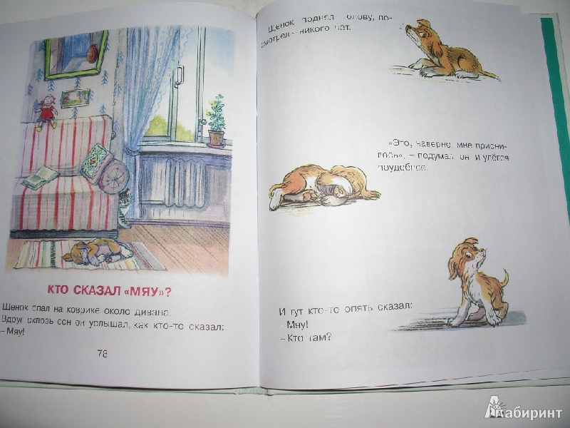Иллюстрация 14 из 15 для Самые любимые сказки - Владимир Сутеев | Лабиринт - книги. Источник: Tiger.