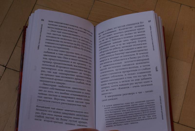 Иллюстрация 6 из 6 для Чайна: что и как пьют в Поднебесной - Владимир Печенкин | Лабиринт - книги. Источник: Ольга Е.