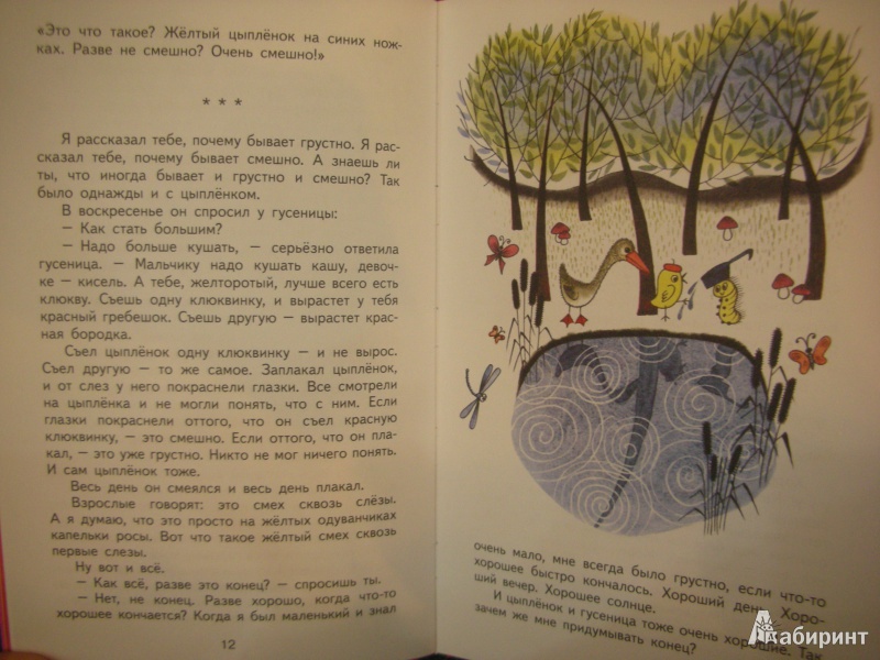 Иллюстрация 11 из 39 для Сказки - Геннадий Цыферов | Лабиринт - книги. Источник: Екатерина123