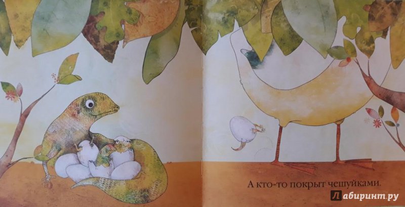 Иллюстрация 20 из 34 для Ш-ш-ш… Малышовая книжка - Сунг Иль | Лабиринт - книги. Источник: Лабиринт