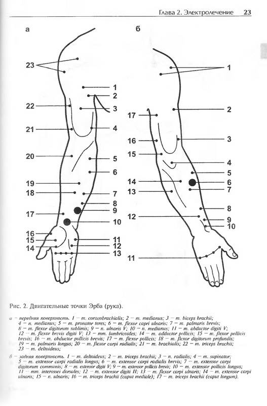 Иллюстрация 53 из 58 для Физиотерапия в неврологии - Гурленя, Багель, Смычек | Лабиринт - книги. Источник: Риззи