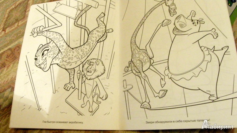 Иллюстрация 6 из 6 для Волшебная раскраска "Мадагаскар 3" (№ 12103) | Лабиринт - книги. Источник: 1helga