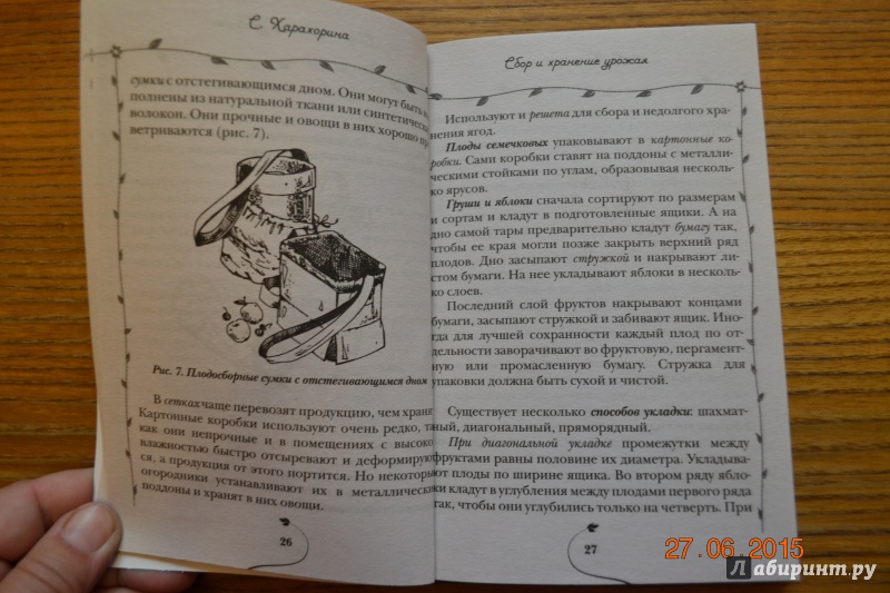 Иллюстрация 5 из 8 для Подготовка сада к зиме - Светлана Харахорина | Лабиринт - книги. Источник: Белоус Марина