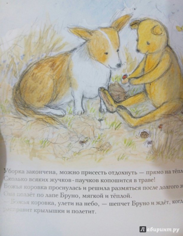 Иллюстрация 41 из 51 для Весна мишки Бруно - Гунилла Ингвес | Лабиринт - книги. Источник: Панина Елена