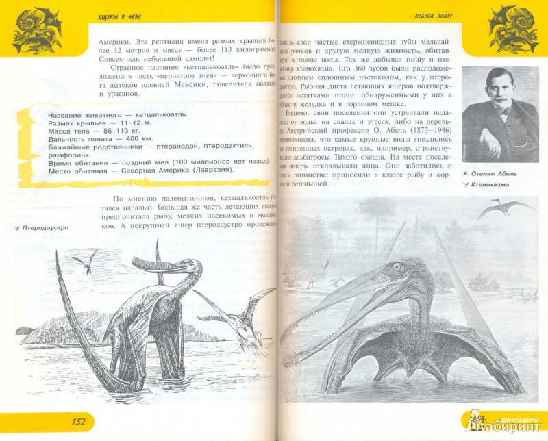 Иллюстрация 6 из 22 для Жизнь замечательных динозавров - Пахневич, Чегодаев | Лабиринт - книги. Источник: Bliss65