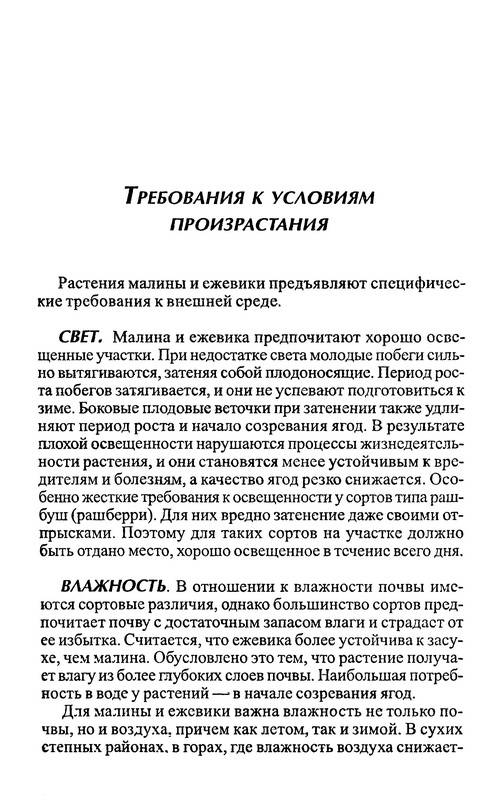 Иллюстрация 10 из 22 для Малина и ежевика - Евгений Ярославцев | Лабиринт - книги. Источник: Ялина