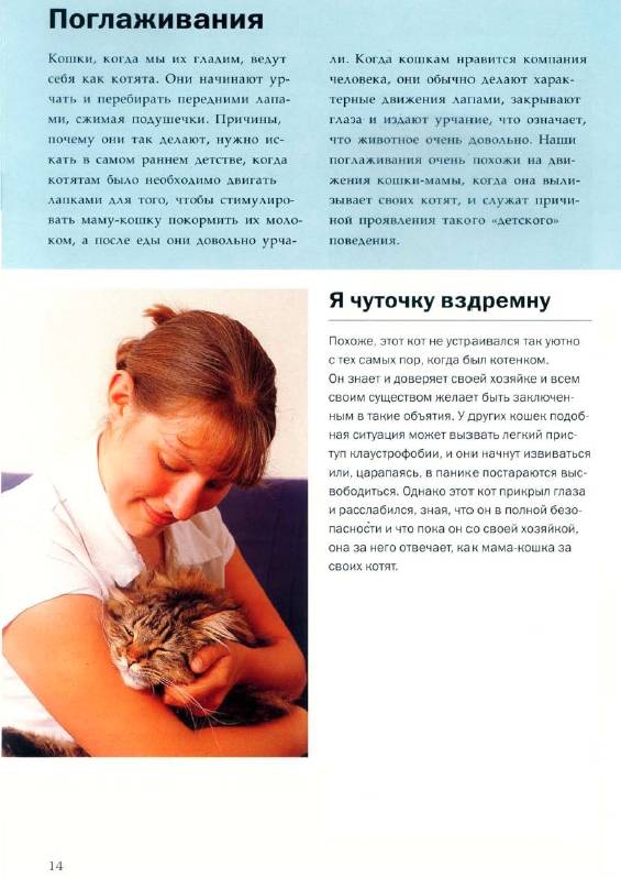 Иллюстрация 8 из 16 для О чем думает ваша кошка - Гвен Бэйли | Лабиринт - книги. Источник: Joker