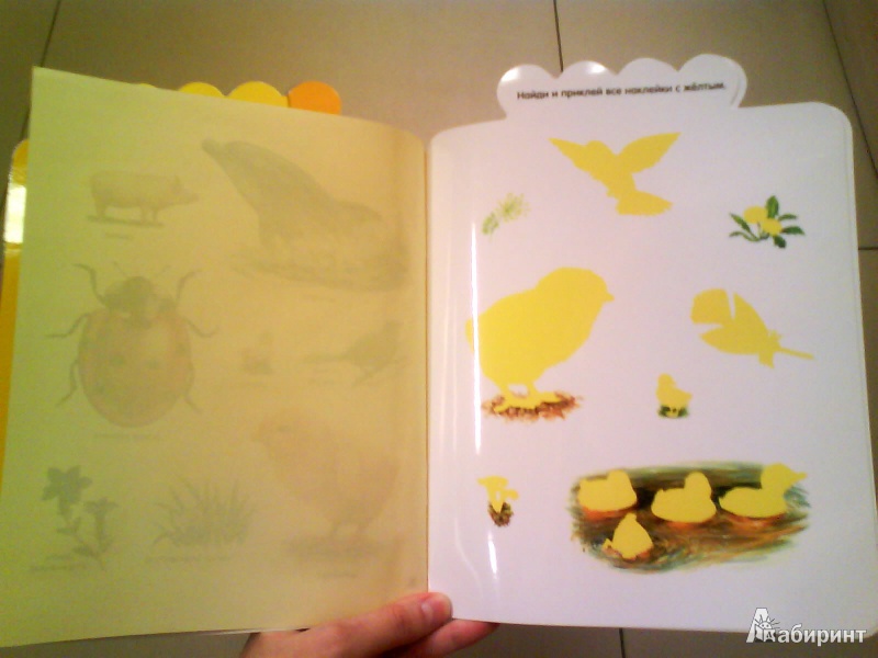 Иллюстрация 9 из 27 для Мои первые наклейки. Дельфинчик. Для детей от 3-х лет - Мария-Элен Грегуар | Лабиринт - книги. Источник: Мила
