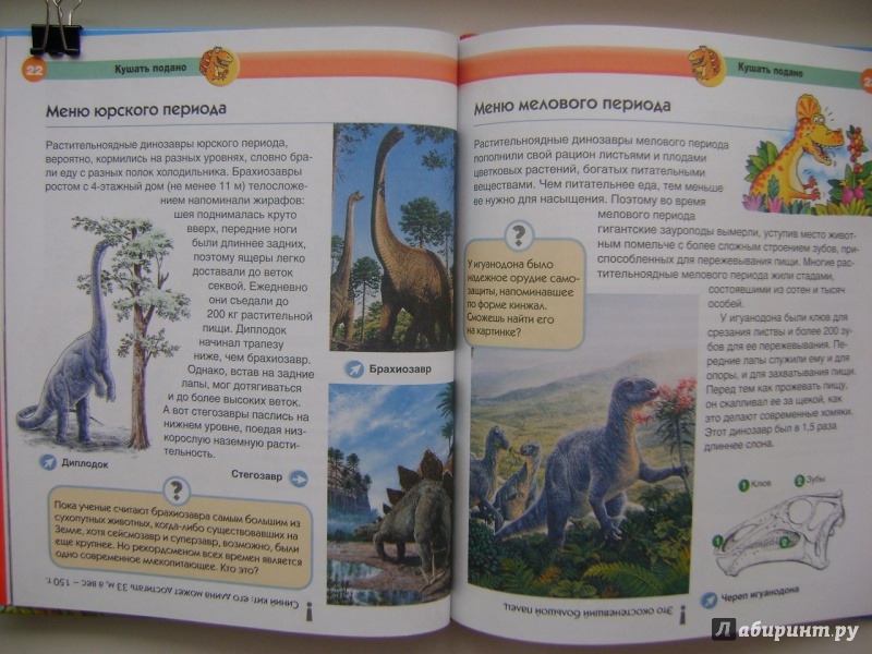 Иллюстрация 23 из 48 для Динозавры - Мария Боцци | Лабиринт - книги. Источник: Саша Юрина