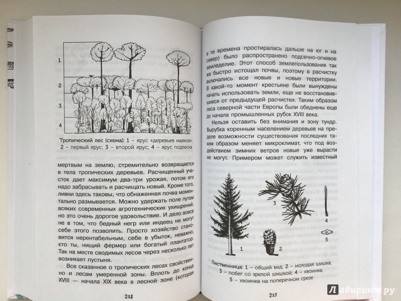 Иллюстрация 18 из 29 для Нескучная биология - Алексей Целлариус | Лабиринт - книги. Источник: Лабиринт