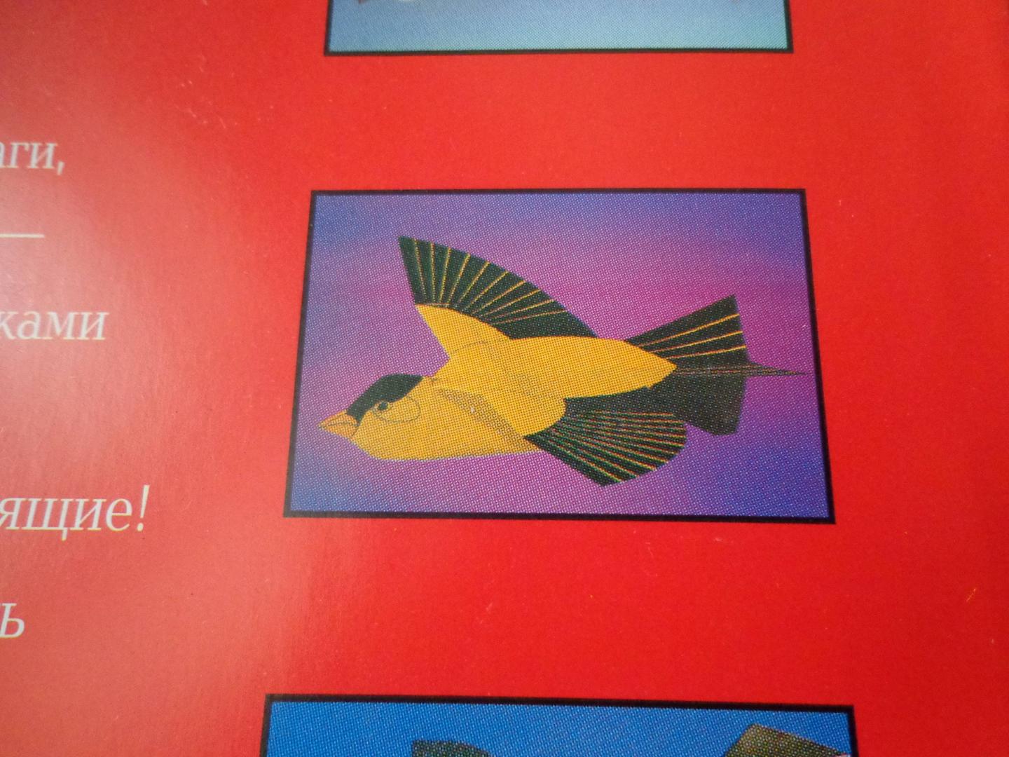 Иллюстрация 28 из 36 для Птицы из бумаги - Норман Шмидт | Лабиринт - книги. Источник: Лабиринт