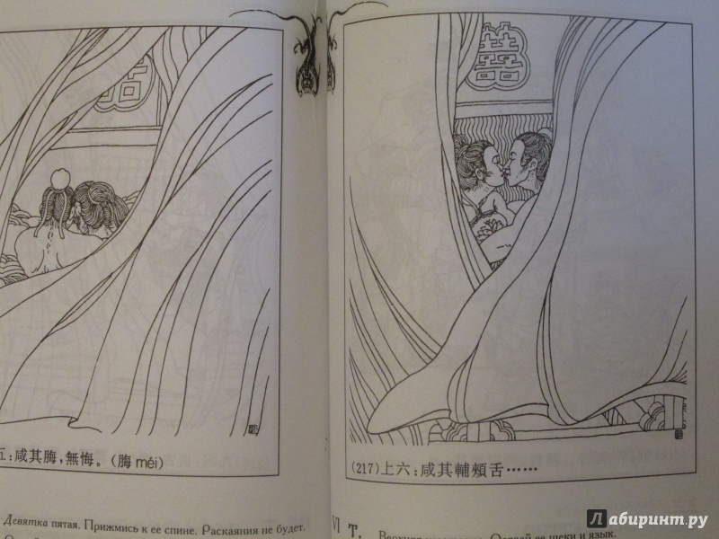 Иллюстрация 11 из 33 для Иллюстрированный гадательный "И цзин" | Лабиринт - книги. Источник: Ivanov Igor