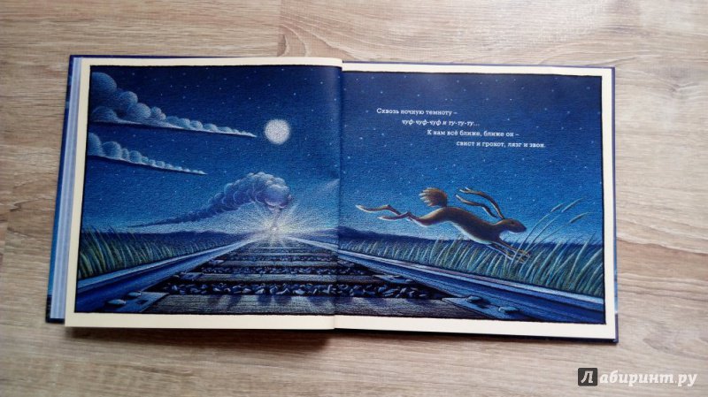 Иллюстрация 60 из 95 для Чудный поезд мчится в сон - Ринкер Даски | Лабиринт - книги. Источник: Сажнева  Ольга
