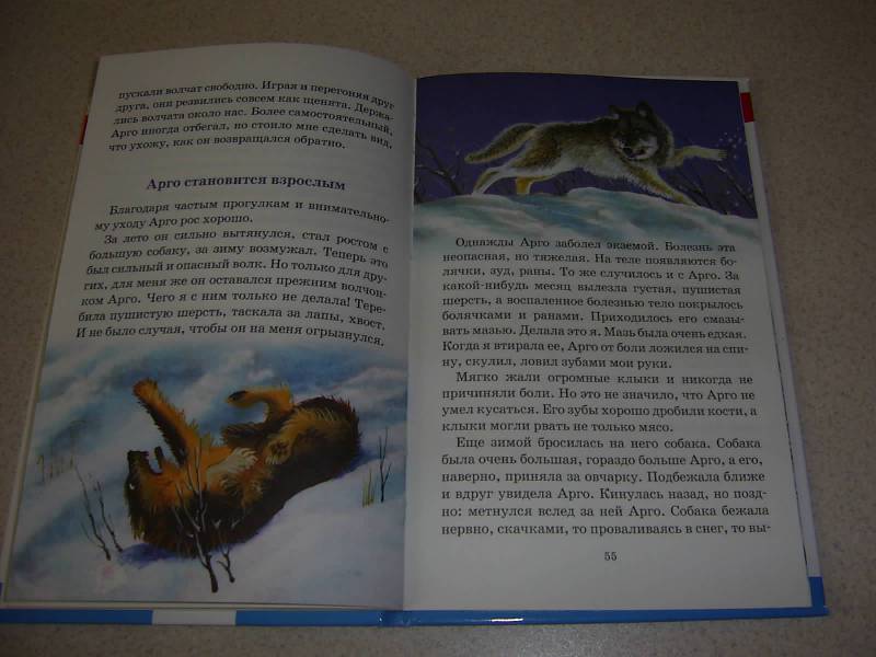 Иллюстрация 33 из 34 для Фомка - белый медвежонок - Вера Чаплина | Лабиринт - книги. Источник: Лилианна