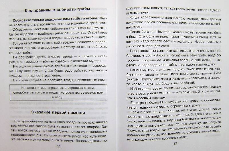 Иллюстрация 25 из 26 для Правила безопасности дома и на улице - Сергей Шинкарчук | Лабиринт - книги. Источник: BOOKвочка