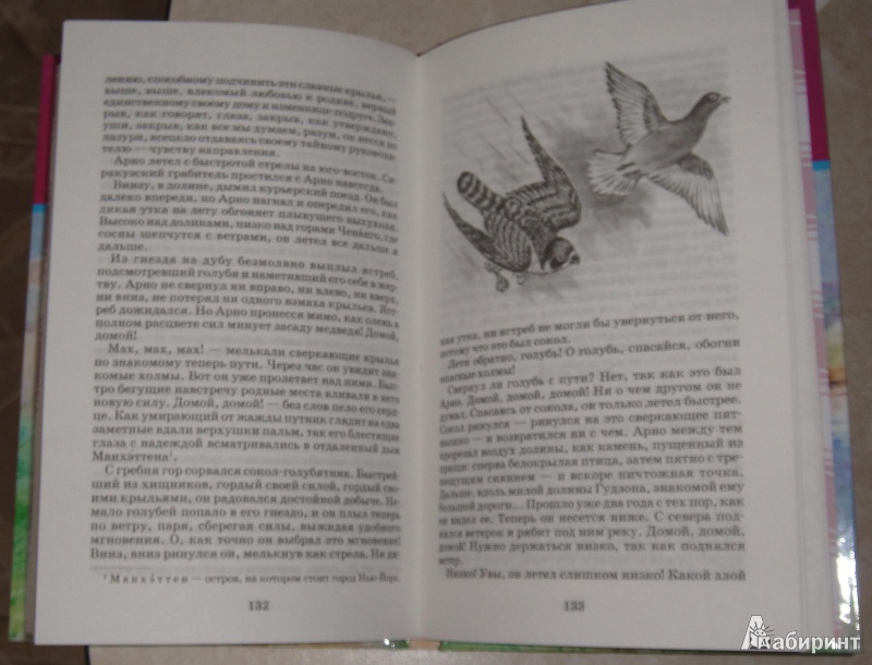 Иллюстрация 14 из 15 для Рассказы о животных - Эрнест Сетон-Томпсон | Лабиринт - книги. Источник: Natalia12345