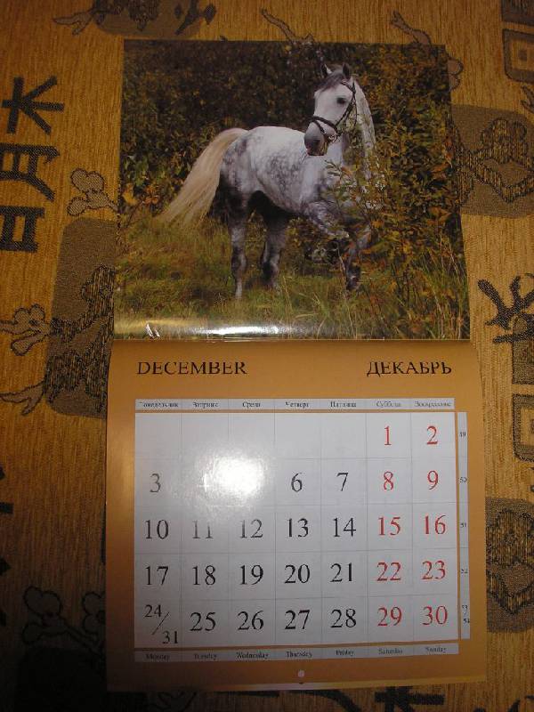 Иллюстрация 4 из 5 для Календарь 2012 "Лошади" | Лабиринт - сувениры. Источник: Поклонцева Юлия Сергеевна